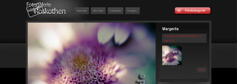 Online Fotogralerie Roskothen