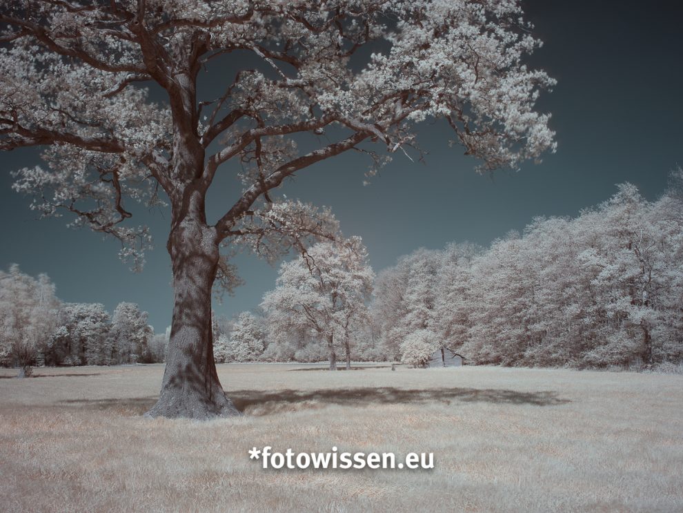 Infrarotfotografie